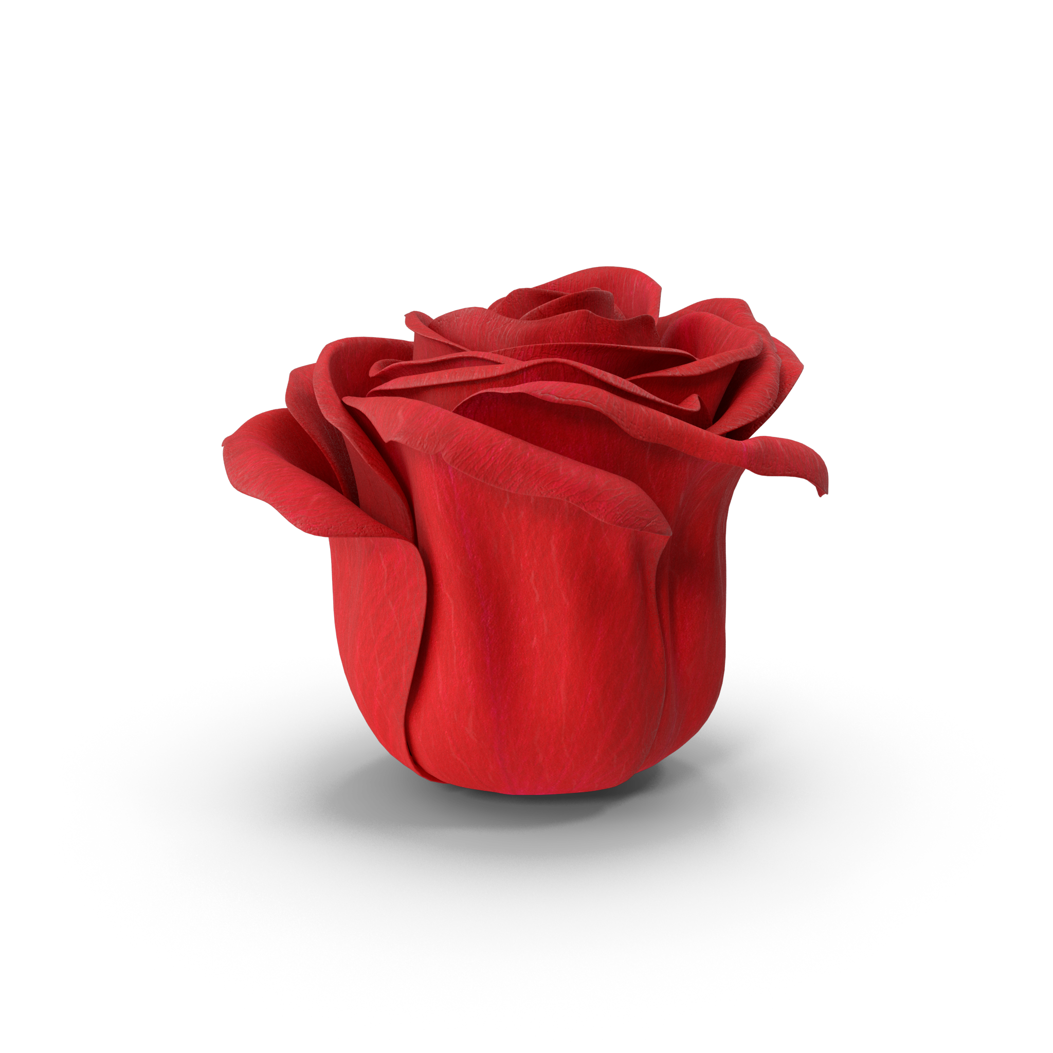 The Beauty of Blooms: How Sky Flowers Transforms Your Moments