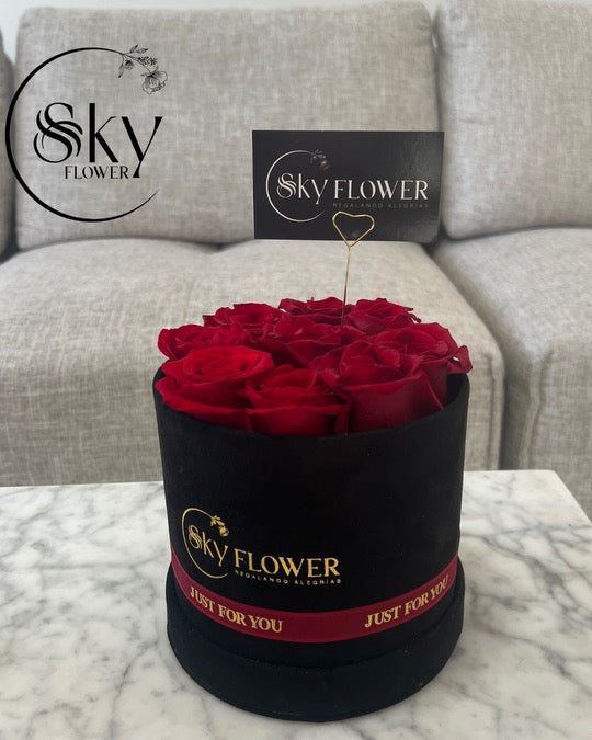 Sky Bloom