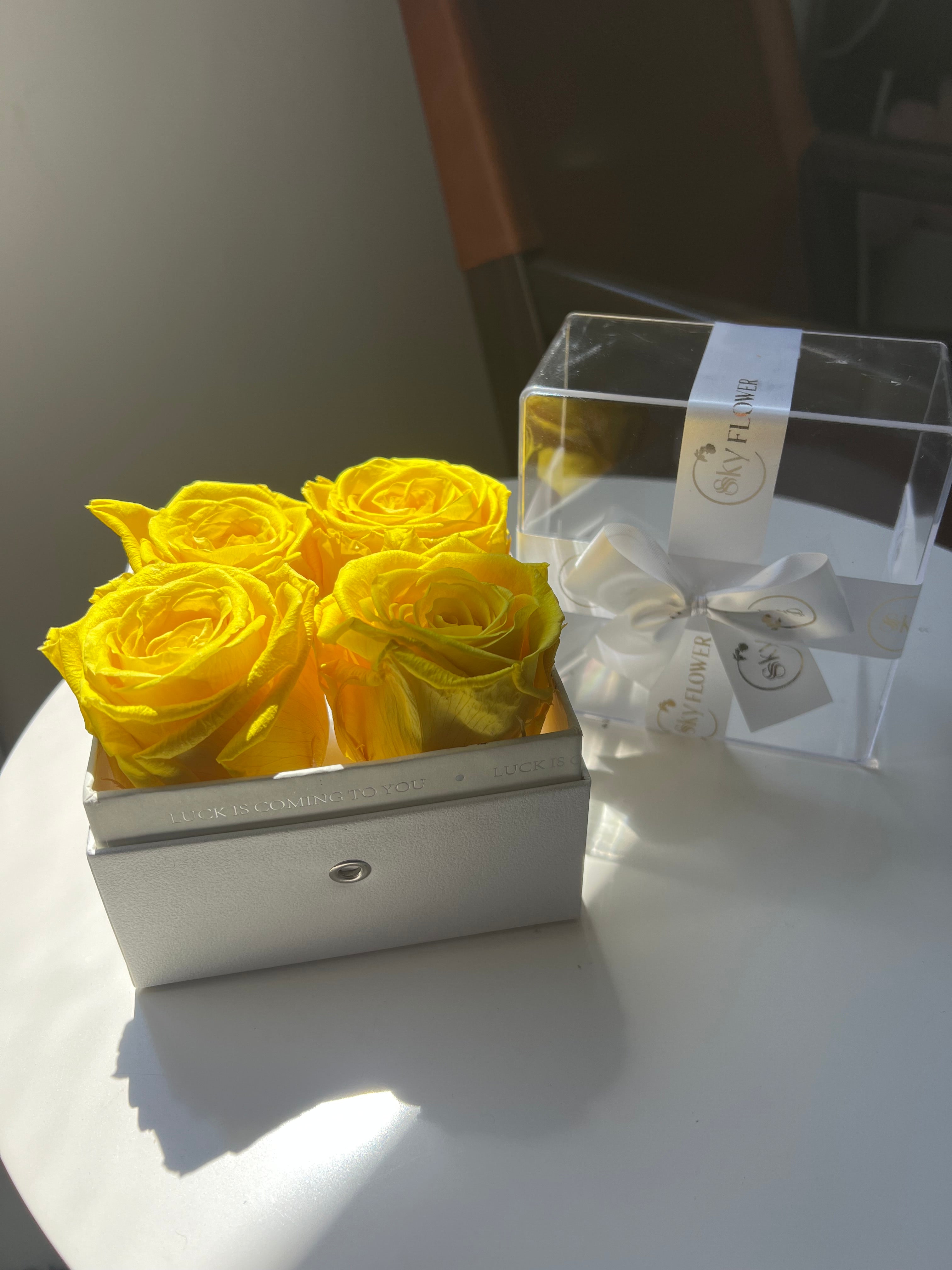 4 Preserved Roses