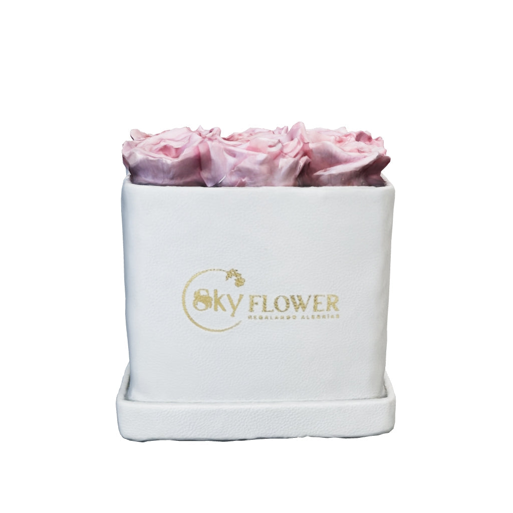 Small Square Love - White Box